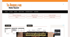 Desktop Screenshot of no-dummy.com